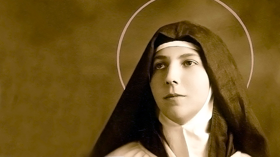 O Carmelo no dizer das Carmelitas: Teresa dos Andes