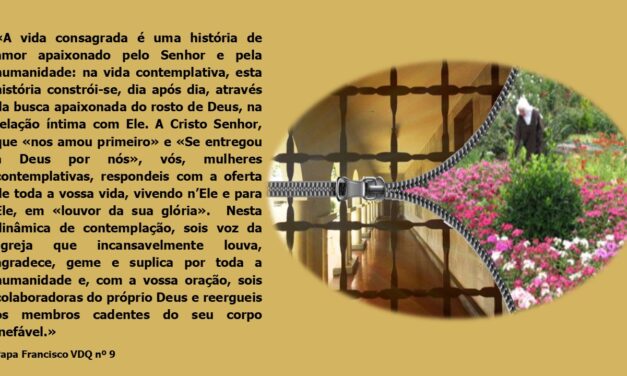 VIDA CONTEMPLATIVA – IX