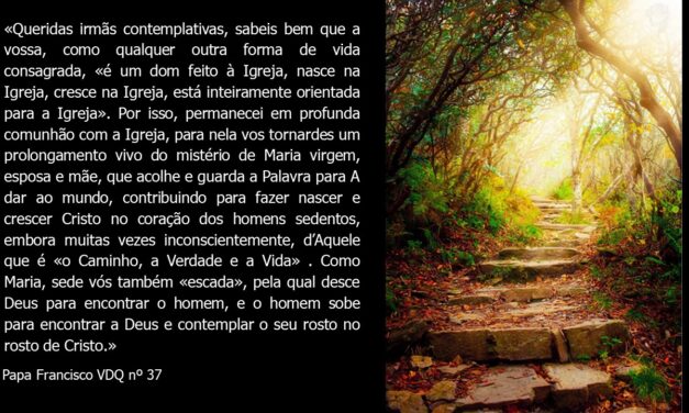 VIDA CONTEMPLATIVA – XIII