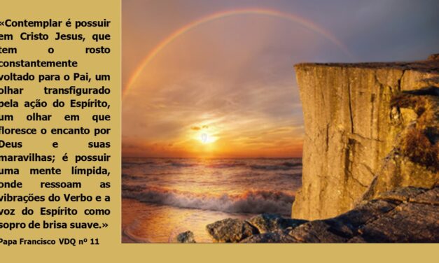 VIDA CONTEMPLATIVA – X