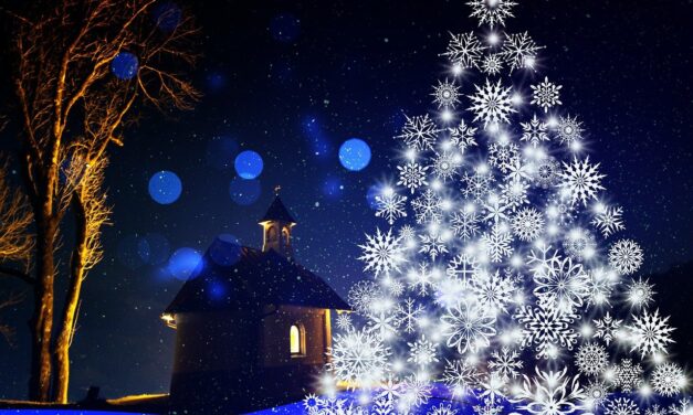 O teu coração, a tua miséria… o Seu dom